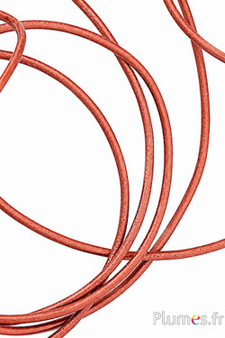 Leren veter - dikte 3 mm - brons